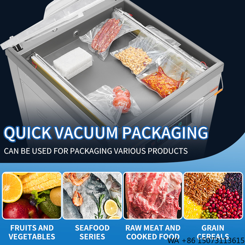 DZ-500  Vertical Single Chambe - Food Vacuum Sealer review and price
