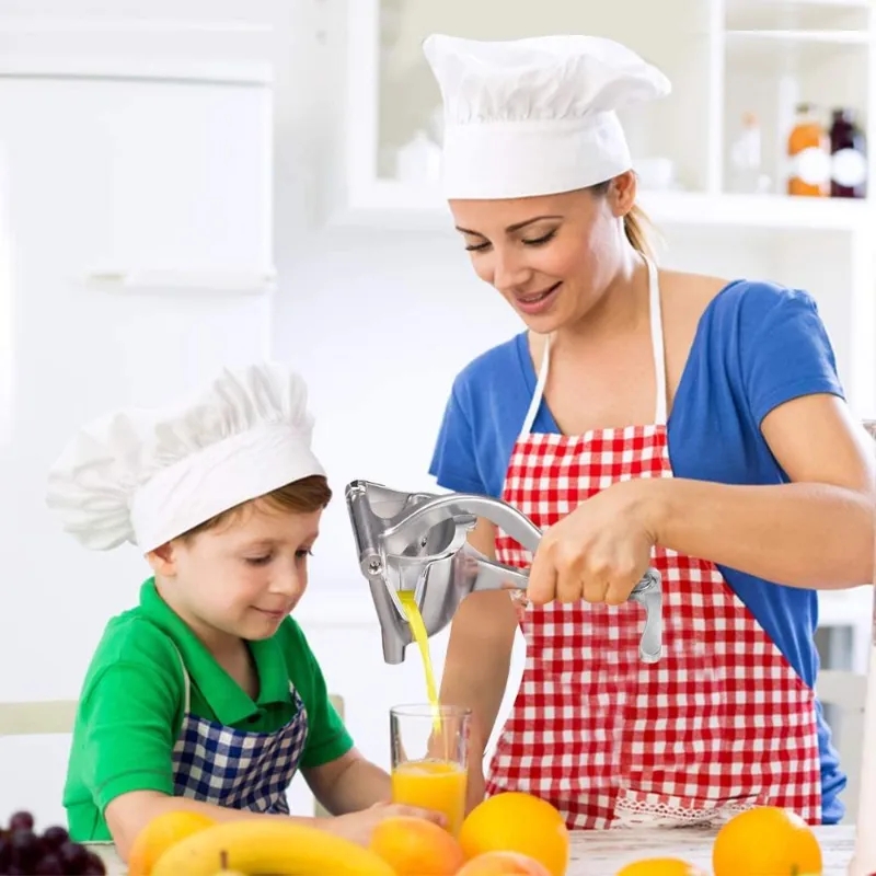 2026 Manual Juice Squeezer Alu - Citrus Lemon Squeezer review and price