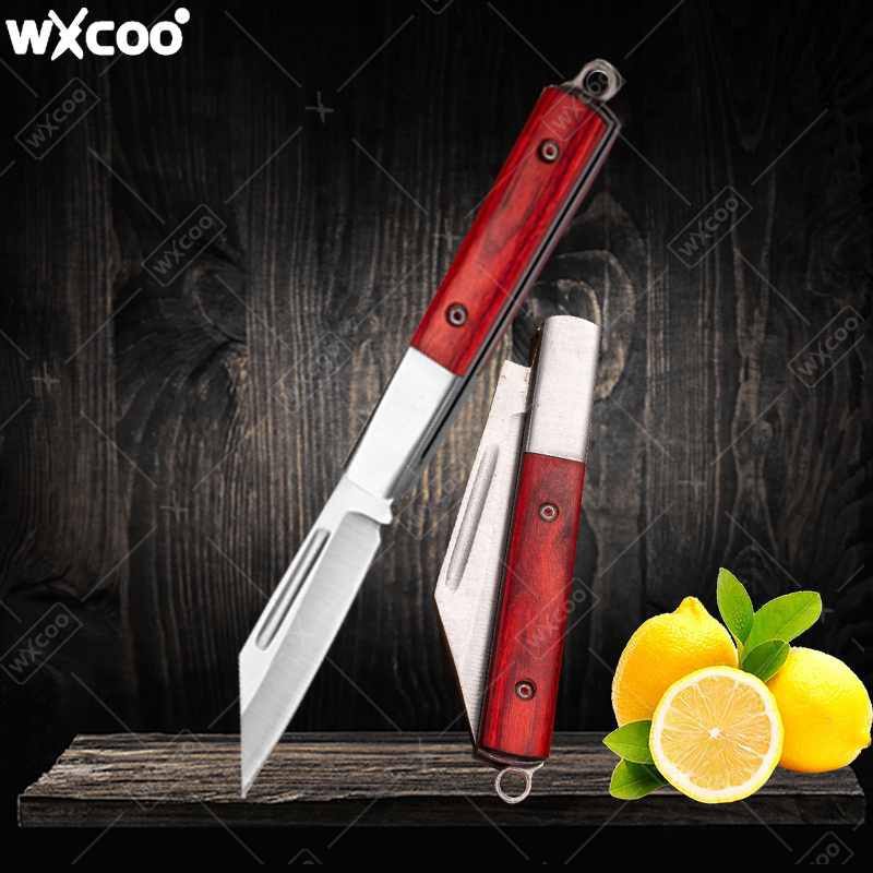 Stainless Steel Pocket Knife R - Kitchen Gadgets Products review and price
