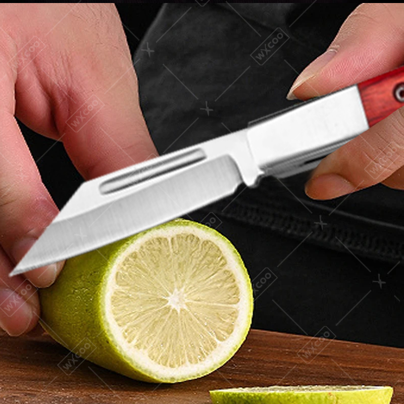 Stainless Steel Pocket Knife R - Kitchen Gadgets Products review and price